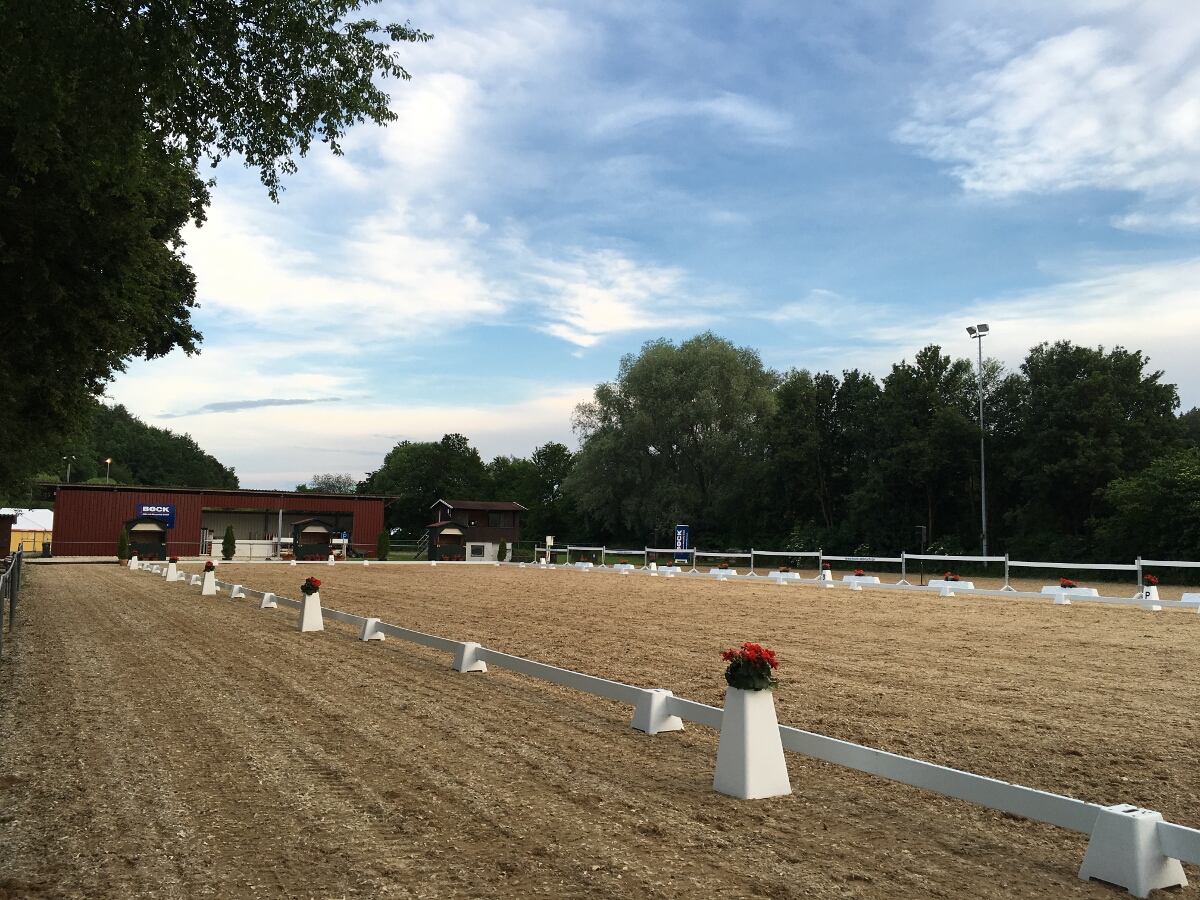 HOMEPAGE Reit Fahr Und Zuchtverein Babenhausen E V 